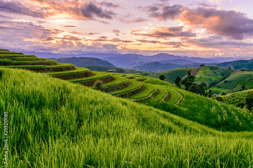 Beautiful step of rice terrace paddle field in sunset at Chiangmai, Thailand. Chiangmai is beautiful in nature place in Thailand, Southeast Asia. Travel concept.