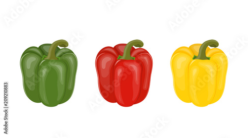 Vector illustration. Set of colorful sweet peppers.