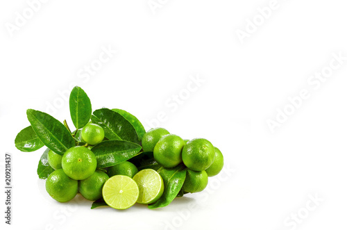 Seedless organic lime fruits (Citrus aurantifolia) isolated on white background.