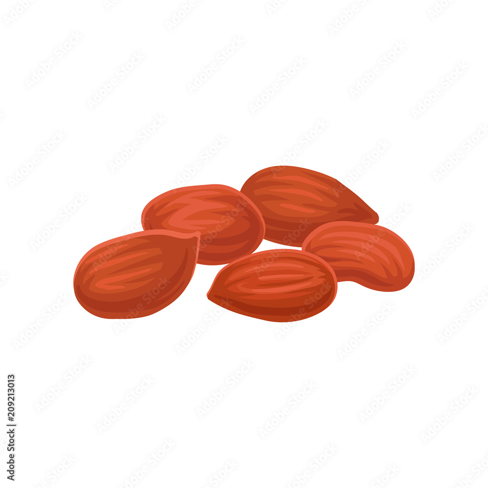 Pile of peeled peanuts. Culinary ingredient. Healthy nutrition. Flat vector element for product packaging Pile of peeled peanuts. Culinary ingredient. Healthy nutrition. Flat vector element for product packaging