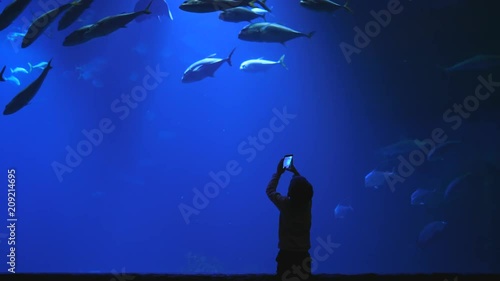 Wallpaper Mural little boy takes photos of a large aquarium with lots of fish on a modern mobile phone Torontodigital.ca