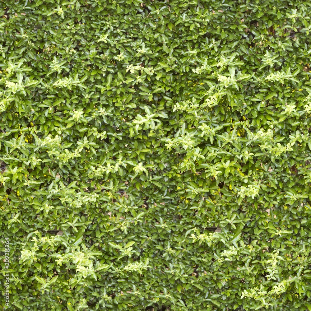 A Seamless Texture for natural backgrounds and materials A Seamless Texture for natural backgrounds and materials