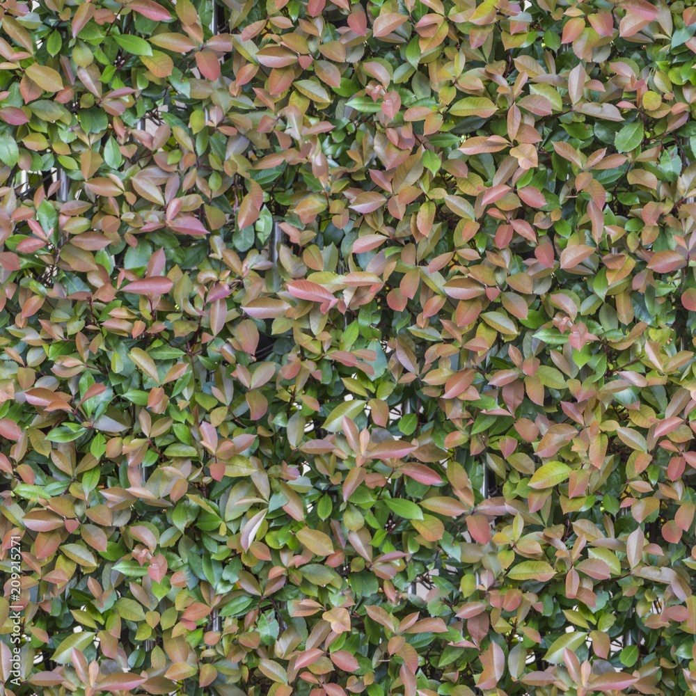A Seamless Texture for natural backgrounds and materials A Seamless Texture for natural backgrounds and materials