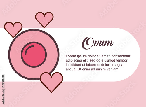 pregnancy fertilization ovum female hearts love vector illustration