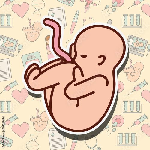 pregnancy fertilization baby cordon umbilical born vector illustration