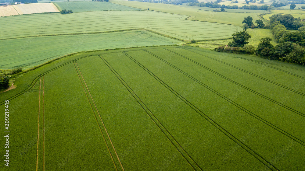 Aerial drone view of neatly ordered farmed fields and crops - obrazy, fototapety, plakaty 