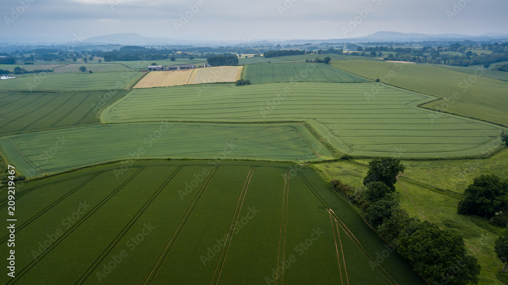 Aerial drone view of neatly ordered farmed fields and crops