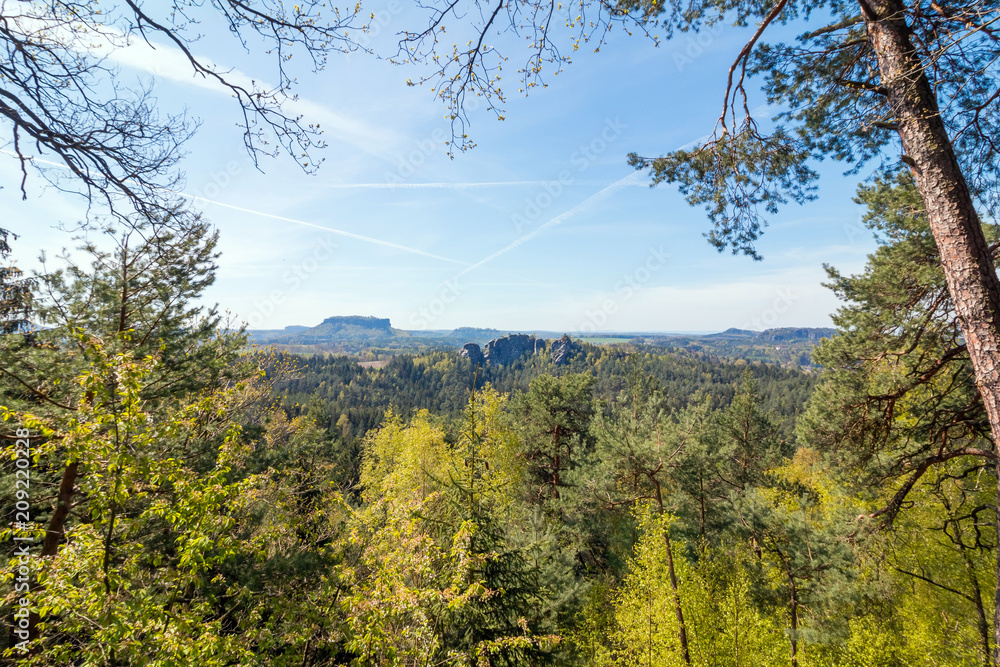 Saxon Switzerland - Bastei in background Saxon Switzerland - Bastei in background