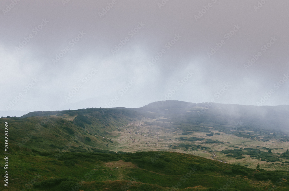 Landscapes of the mountain Carpathians, hills covered with green forest Landscapes of the mountain Carpathians, hills covered with green forest
