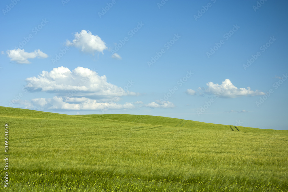 Large field on a hill