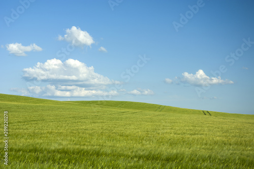 Large field on a hill