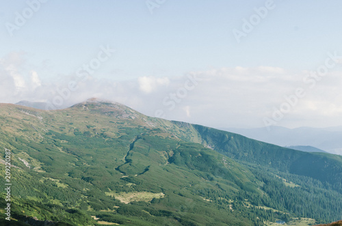 Landscapes of the mountain Carpathians, hills covered with green forest