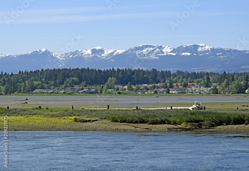 nature landscape at the Courtenay estuary during low tide, Vancouver Island British Columbia Canada photo