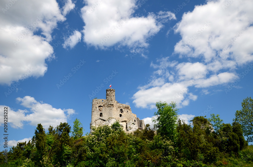 Mirow castle in Poland