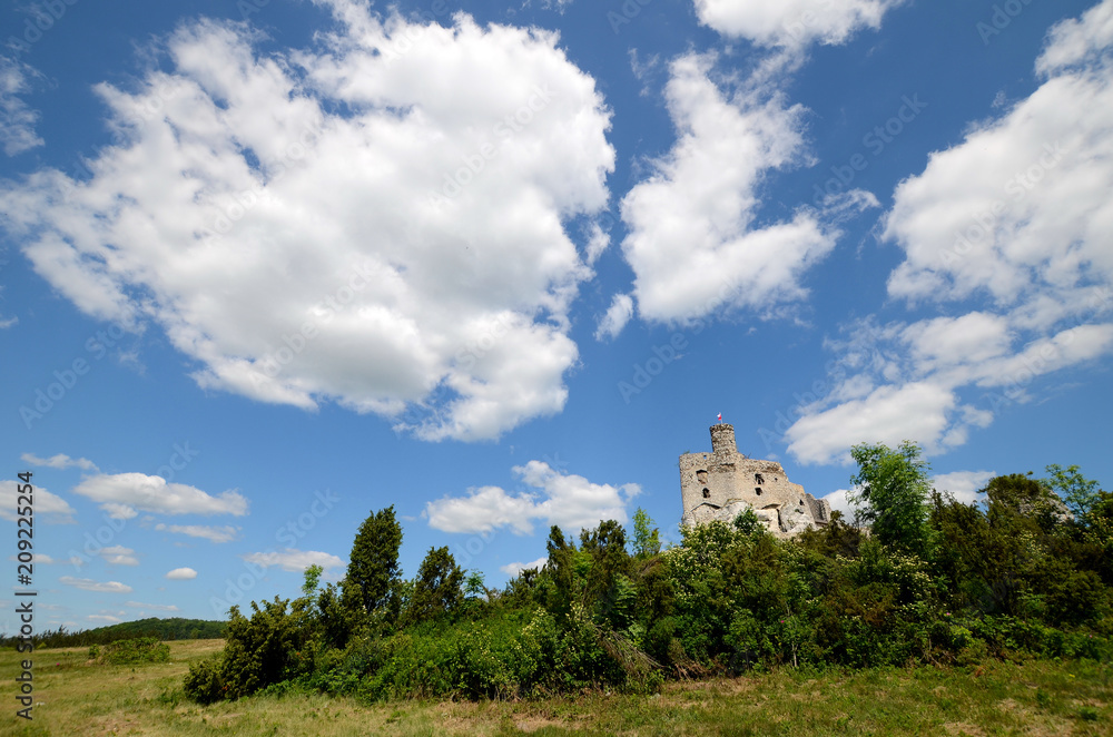 Mirow castle in Poland