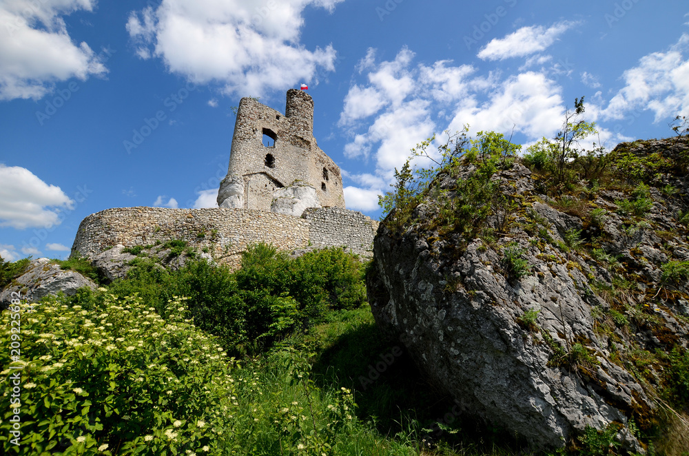 Mirow castle in Poland