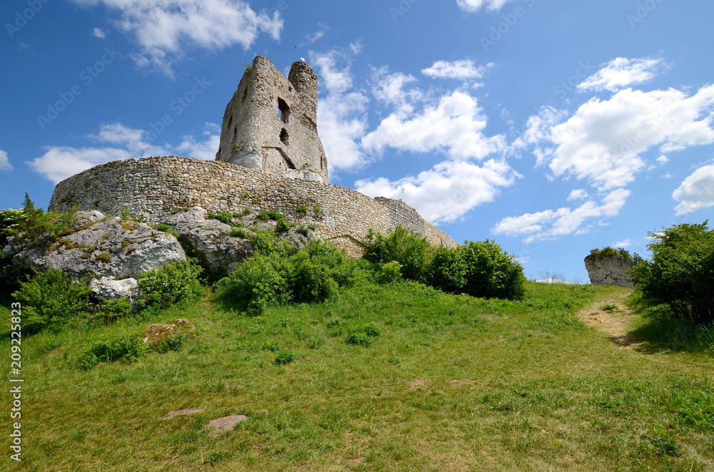 Mirow castle in Poland