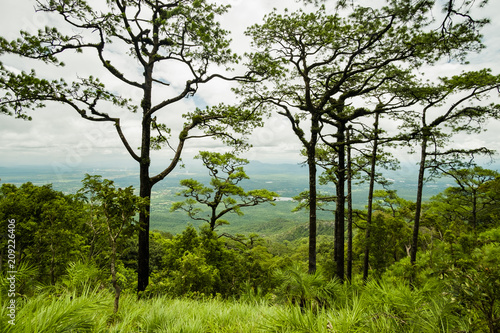 landscape view at Doi Lung Tak  1175 msl  Tak province Thailand