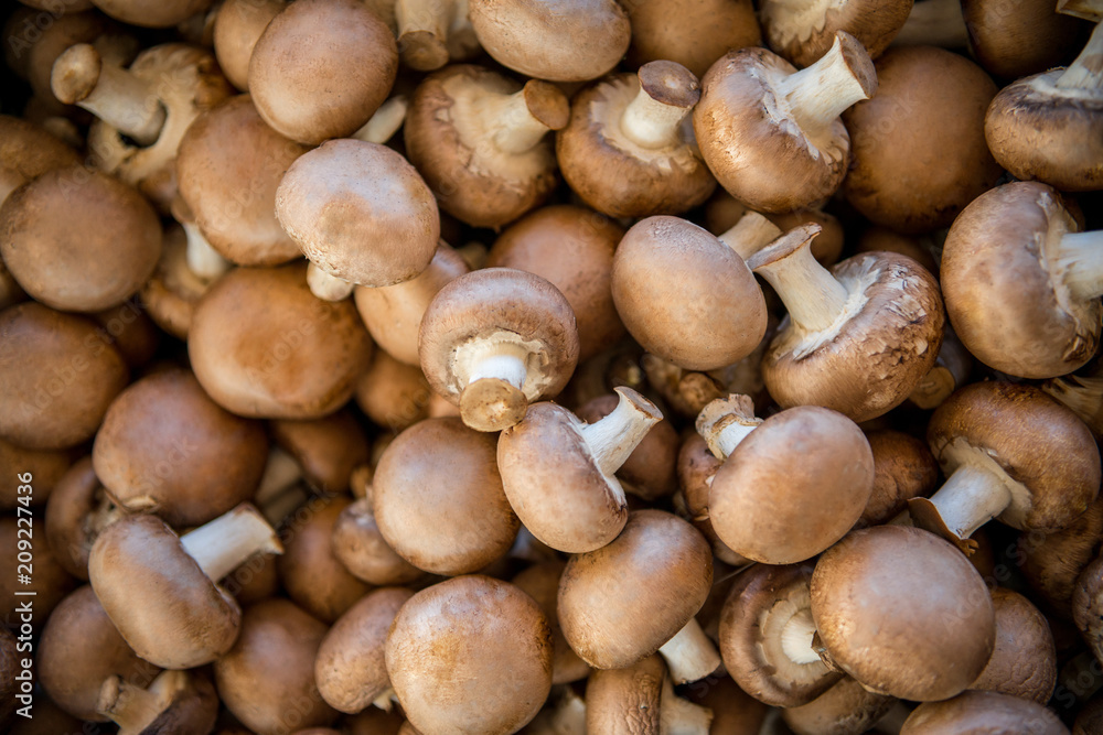 full frame image of pile of champignons background