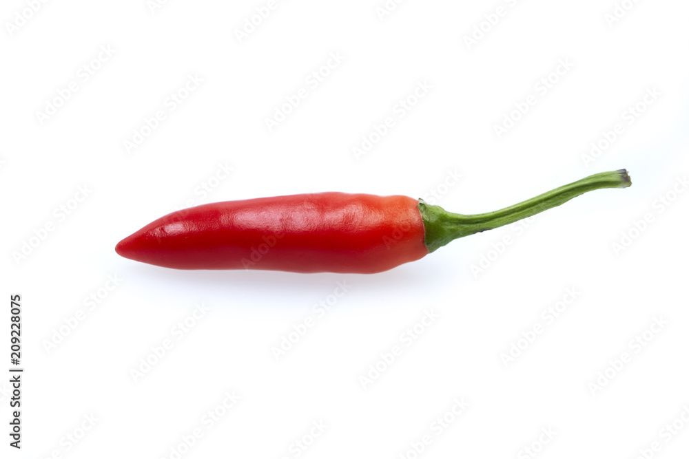 Chilli Red Bullet On White Isolated Background Chilli Red Bullet On White Isolated Background