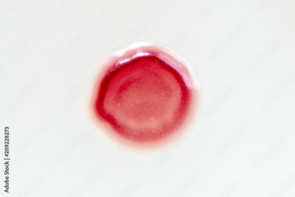Serratia marcescens is a species of rod-shaped gram-negative bacteria in the family Enterobacteriaceae for Laboratory microbiology. Serratia marcescens is a species of rod-shaped gram-negative bacteria in the family Enterobacteriaceae for Laboratory microbiology.