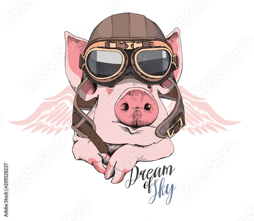 Funny Pig in a retro leather aviator helmet and with a wings. Vector illustration.