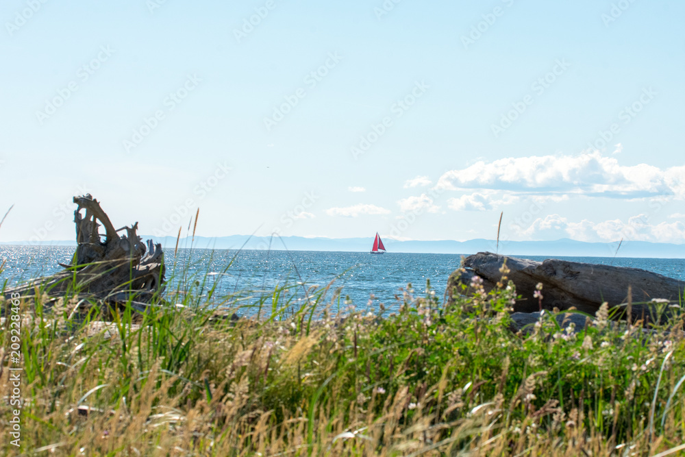 Sailing in Puget Sound