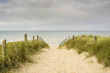 Foto auf Acrylglas Nordsee Niederländisches Küstengebiet mit Sand, Strand, Strandhafer und Eingang zur Nordsee  © Jet