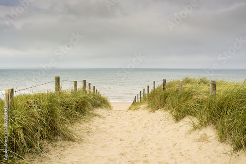 Dutch coastal area with sand, beach, marram grass, and entrance to the North sea photo