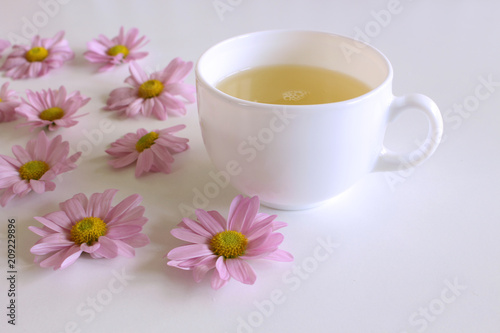 Romantic background with cup of coffee with pink Leucanthemum flowers over white table. Soft photo. Greeting card style. place for text, Top view flat lay with copy space for slogan or text.