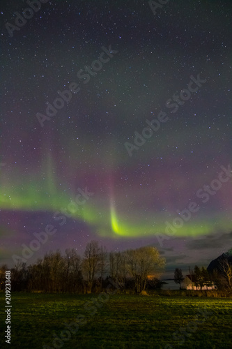 Northern Lights - Aurora borealis. Beautiful picture of massive multicoloured green vibrant Aurora Borealis in the night sky