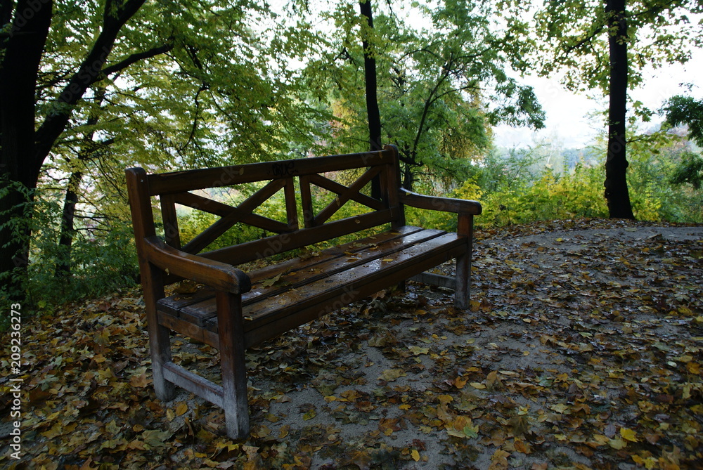 Wooden bench in a park