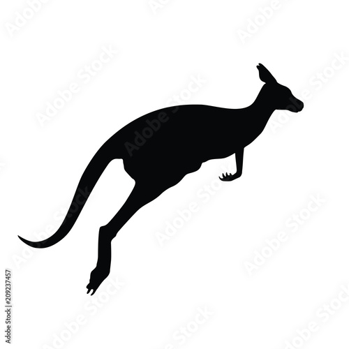 silhouette of a kangaroo