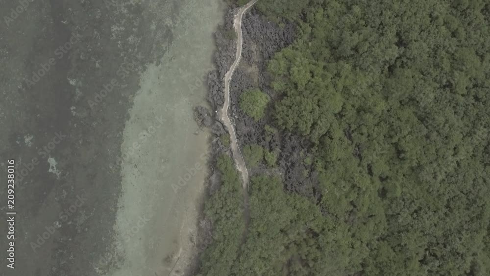 custom made wallpaper toronto digitalAerial Shot of Path and Trees in Bantayan Island