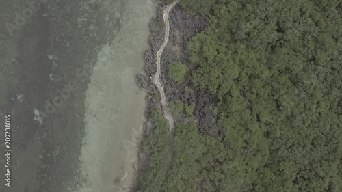 Wallpaper Mural Aerial Shot of Path and Trees in Bantayan Island Torontodigital.ca