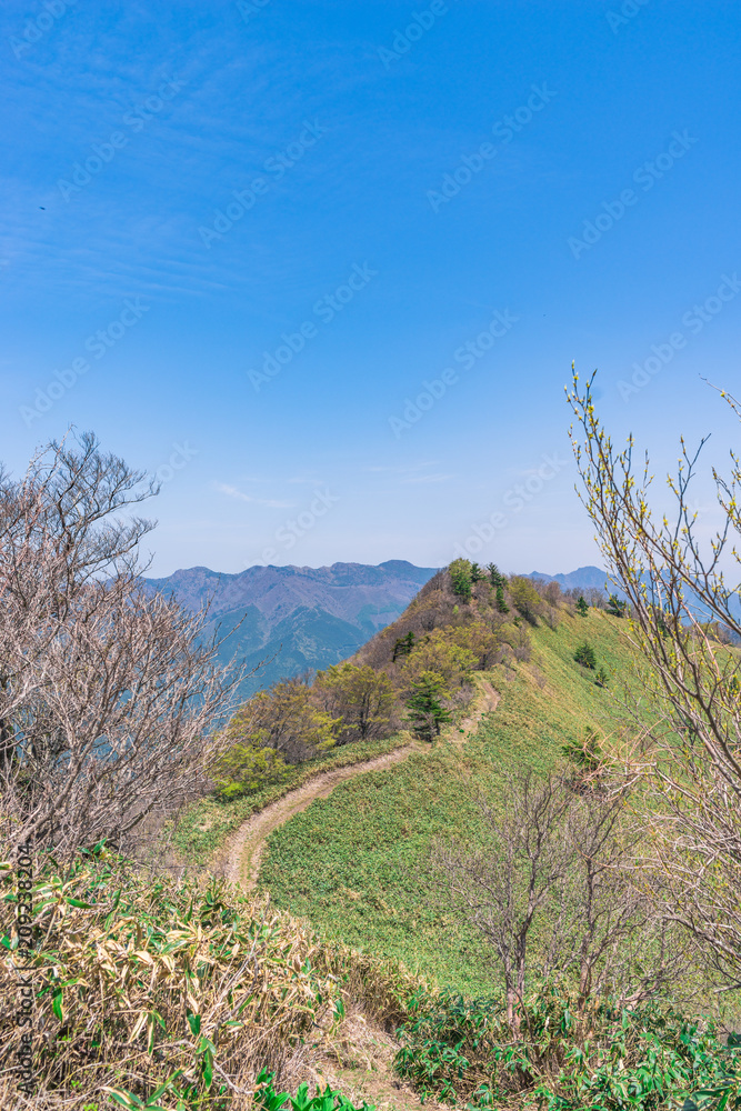 冠山からの景色