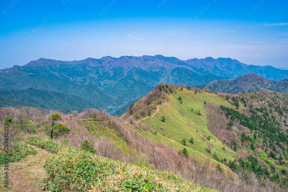 冠山からの景色