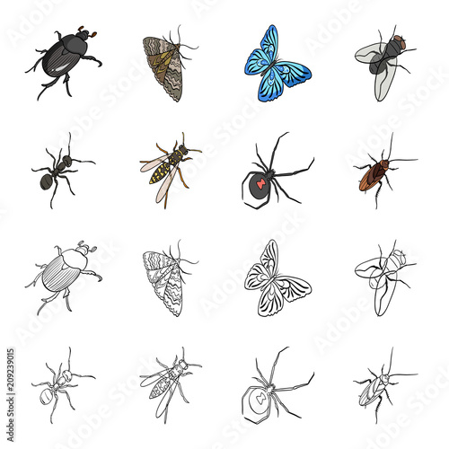An insect arthropod, an osa, a spider, a cockroach. Insects set collection icons in cartoon,outline style vector symbol stock isometric illustration web.