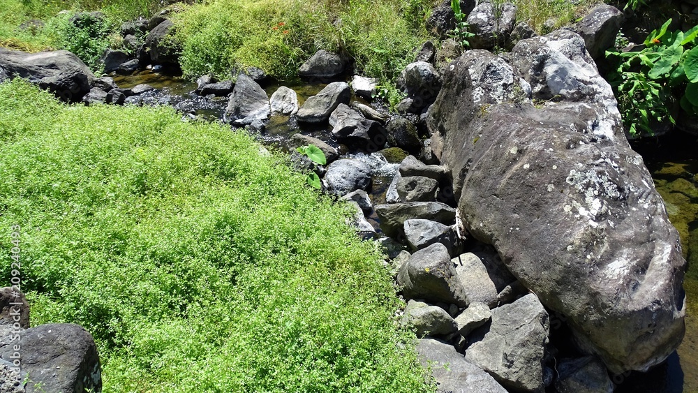 Açores Açores