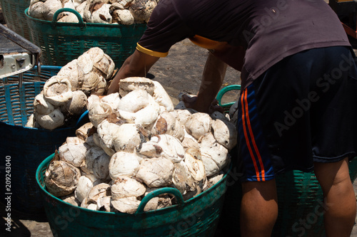 Wallpaper Mural The rubber store to sell to the store. Torontodigital.ca