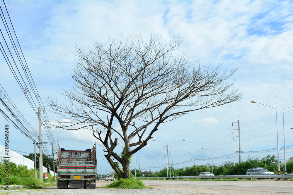 the truck and dead tree near the road with blue sky ,white clouds  and running cars