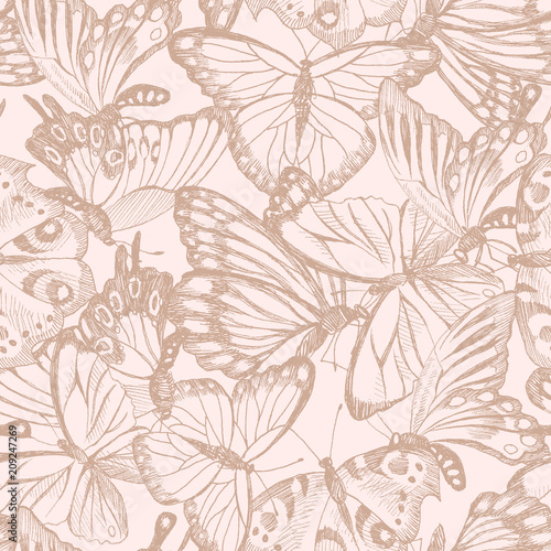 Collection of Hand Drawn tender silhouette butterflies. Vector illustration in vintage style. High detailed hand drawn illustration. Spring theme of butterfly. Vector design