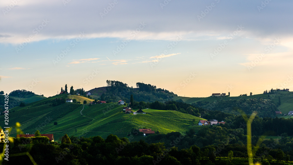 Styrian vineyard in Austria