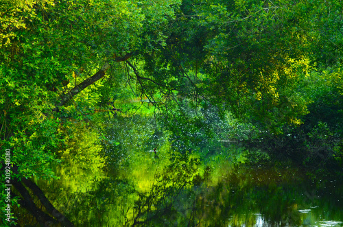 Fototapeta Naklejka Na Ścianę i Meble -  reflet sur la rivière