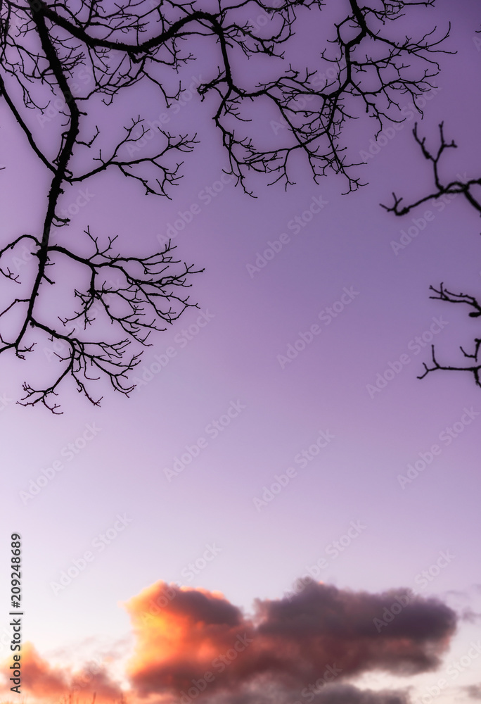Fototapeta premium Cloudscape Sunset
