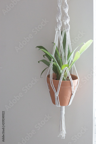 Hanging Planter