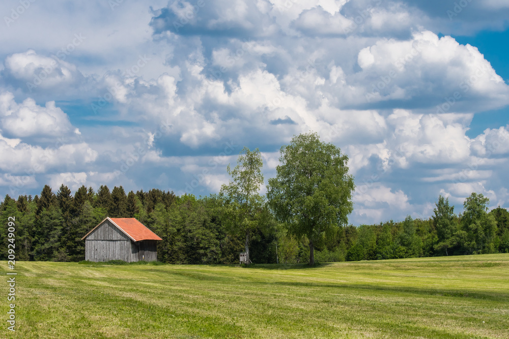 Landschaft , Wiese, Wald, Himmel, Wolken Landschaft , Wiese, Wald, Himmel, Wolken