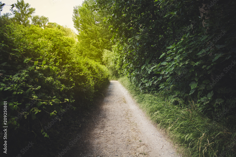 Naklejka premium Durcal, Spain; June 13, 2018: Path at sunset