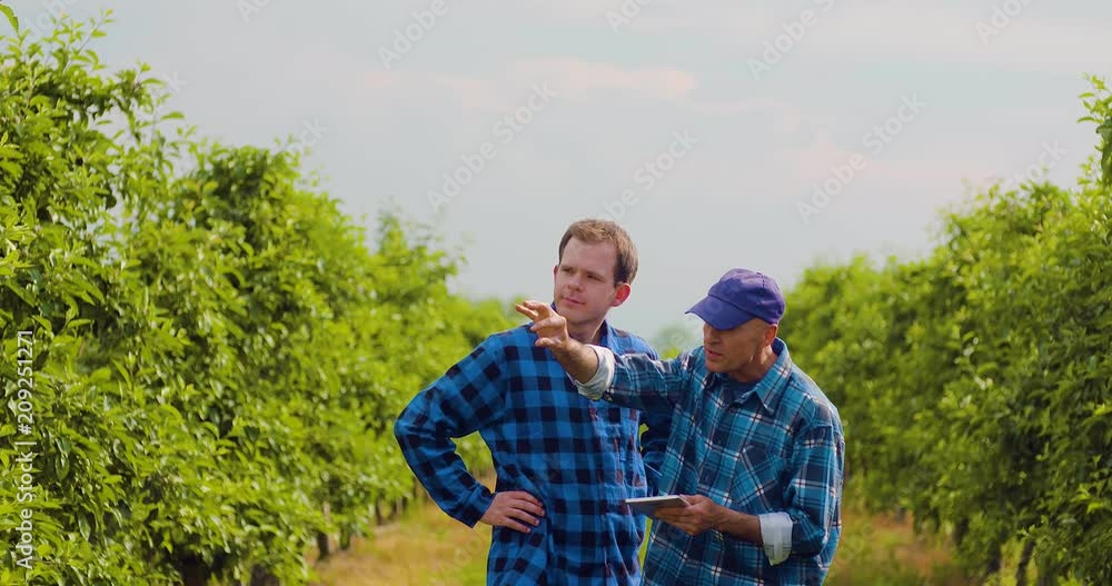Farmer Examining Leaves While Colleague Using Digital Tablet Farmer Examining Leaves While Colleague Using Digital Tablet