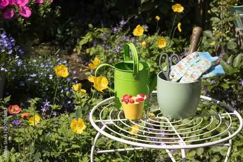 View of colorful flowering summer garden. Garden tools, gloves, flower pots, watering can is on a garden table among growing flowers on a sunny day. Concept: gardening.